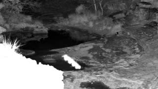 Still 1 from this detection