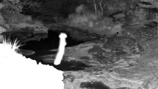Still 2 from this detection