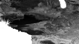 Still 2 from this detection