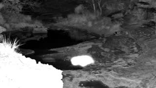 Still 3 from this detection