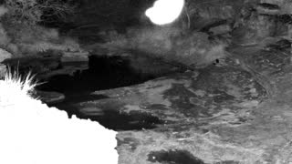 Still 1 from this detection