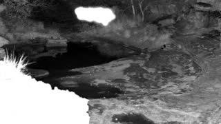 Still 2 from this detection