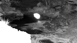 Still 2 from this detection