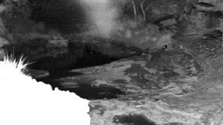 Still 1 from this detection