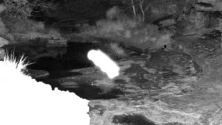 Still 2 from this detection