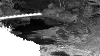 Still 1 from this detection