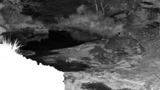 Still 2 from this detection