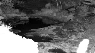 Still 1 from this detection
