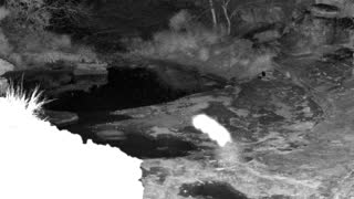 Still 1 from this detection