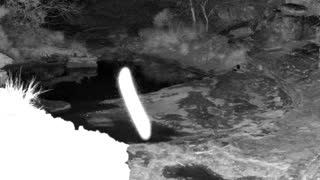 Still 1 from this detection