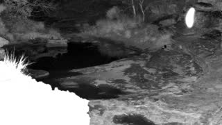 Still 3 from this detection