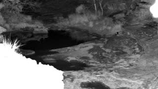 Still 1 from this detection