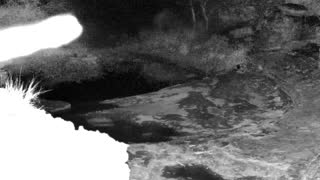Still 1 from this detection