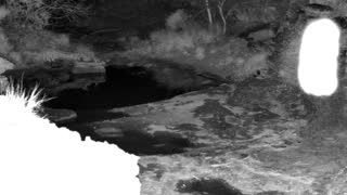 Still 3 from this detection