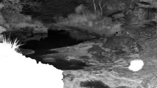 Still 1 from this detection