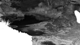 Still 1 from this detection