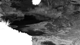 Still 2 from this detection