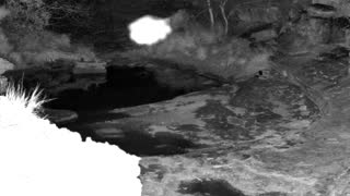 Still 1 from this detection