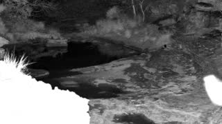 Still 2 from this detection