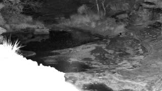 Still 1 from this detection