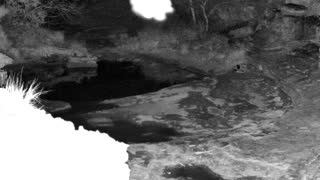 Still 2 from this detection