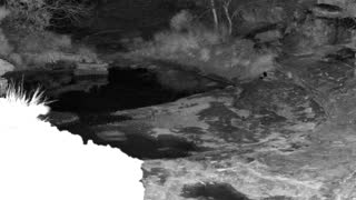 Still 2 from this detection