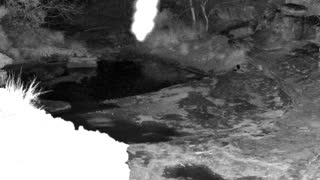 Still 2 from this detection