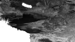 Still 1 from this detection