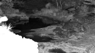 Still 1 from this detection