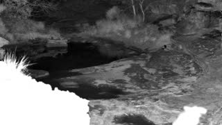 Still 2 from this detection