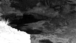 Still 1 from this detection
