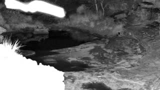 Still 1 from this detection