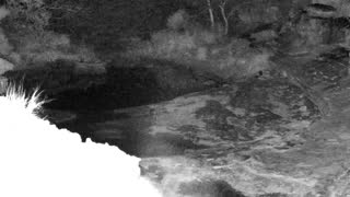 Still 1 from this detection