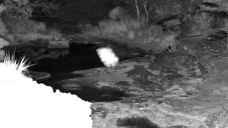 Still 1 from this detection