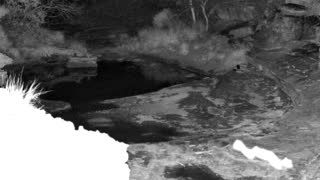 Still 2 from this detection