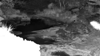 Still 1 from this detection