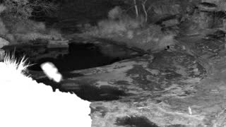 Still 1 from this detection
