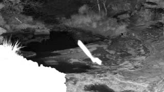 Still 1 from this detection