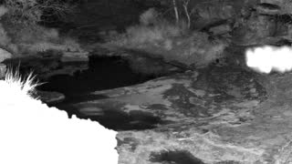 Still 1 from this detection