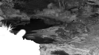 Still 1 from this detection