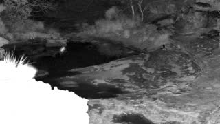 Still 1 from this detection