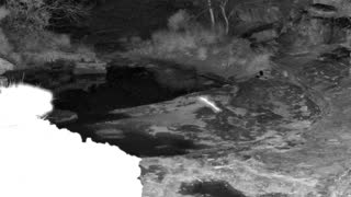 Still 2 from this detection