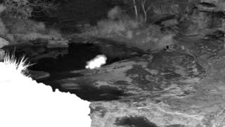 Still 1 from this detection