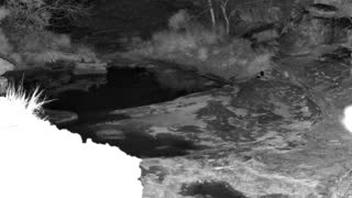 Still 2 from this detection
