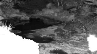 Still 1 from this detection