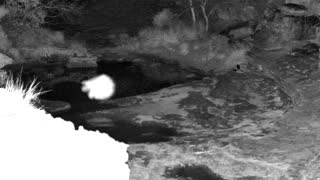 Still 2 from this detection