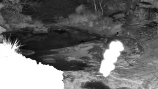 Still 2 from this detection