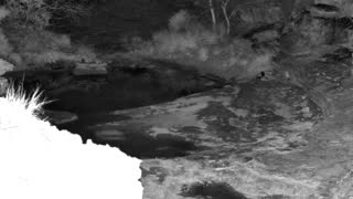 Still 3 from this detection