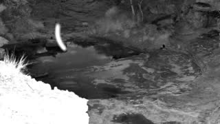 Still 2 from this detection