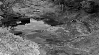 Still 1 from this detection